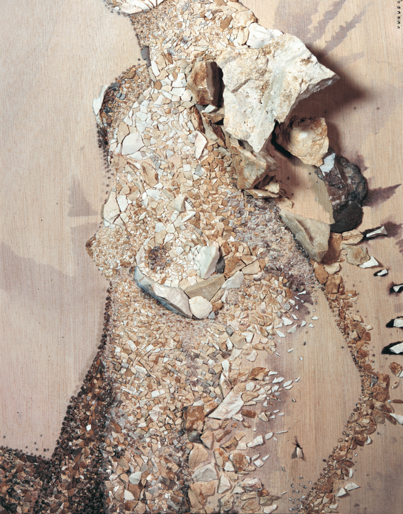 Rodica Burlacu detail